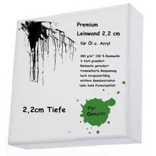 B&T Keilrahmen Standard 50x50 cm Premium 2,1cm 360g